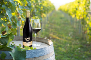 Vinum Nobile Winery - vinárstvo a e-shop s vínom